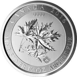 2016 1.5oz Canadian Silver Maple Leaves (2)